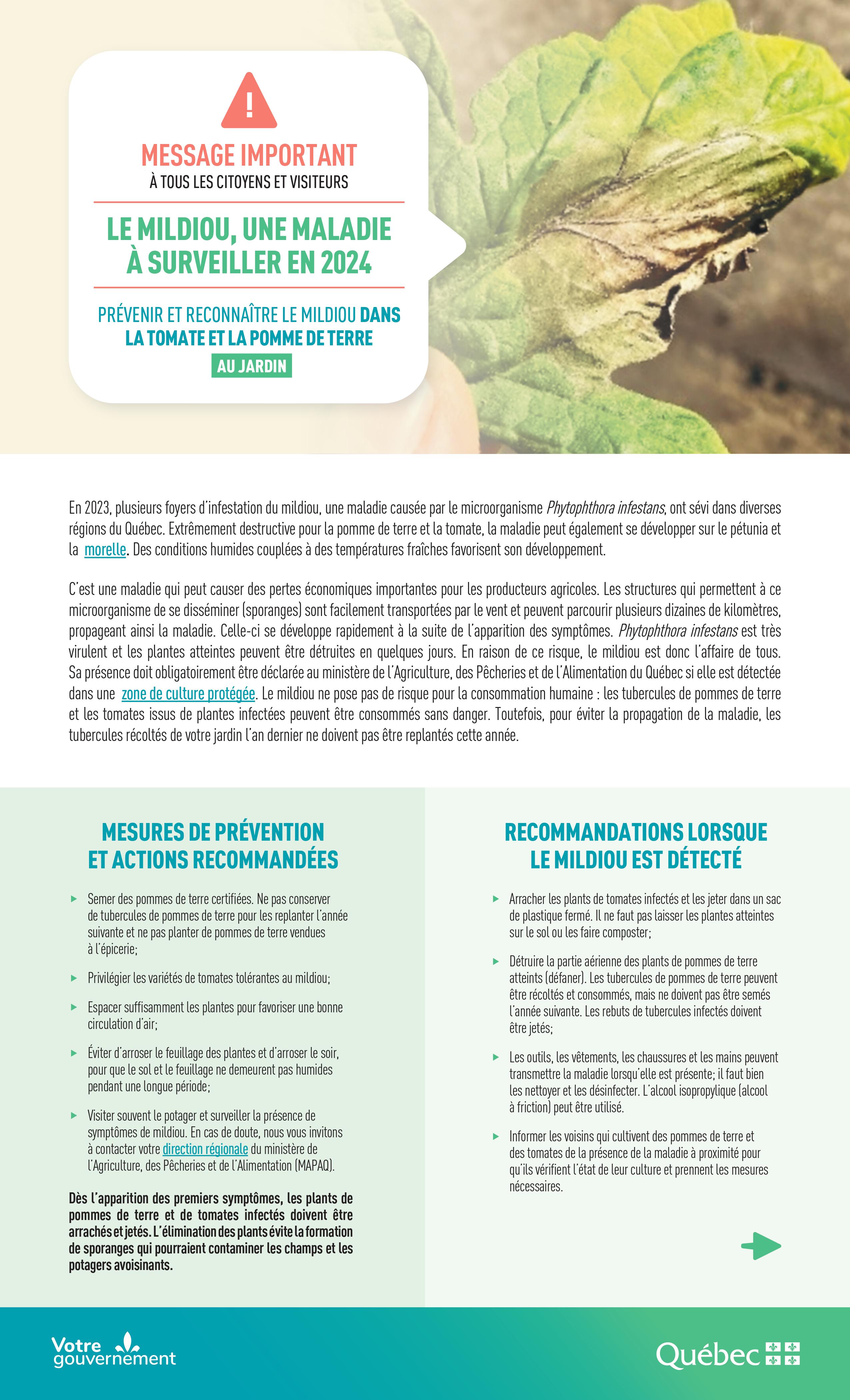 fiche reconnaitre prevenir mildiou images 0